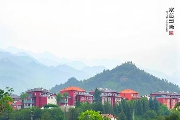 比赛公牛队录像,比赛公牛队录像在哪看  比赛公牛队录像 第1张