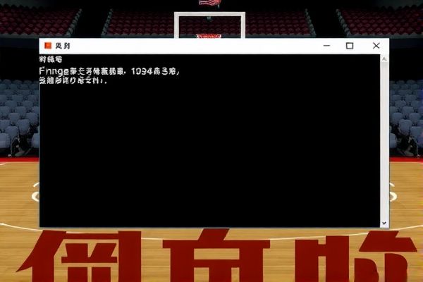 重温经典，探索98年NBA录像的魅力