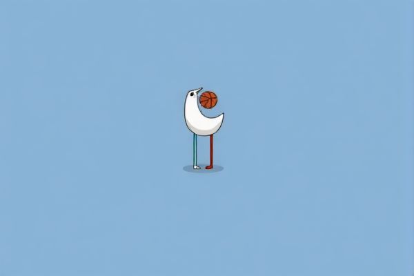 NBA直播录像的魅力与影响